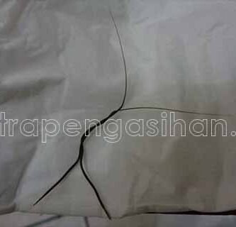 Cara Menggunakan Bulu Perindu