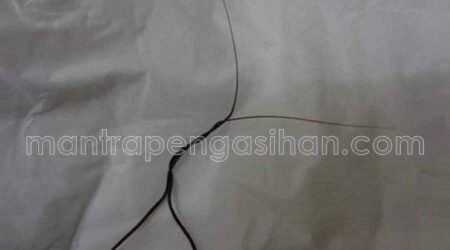 Cara Menggunakan Bulu Perindu