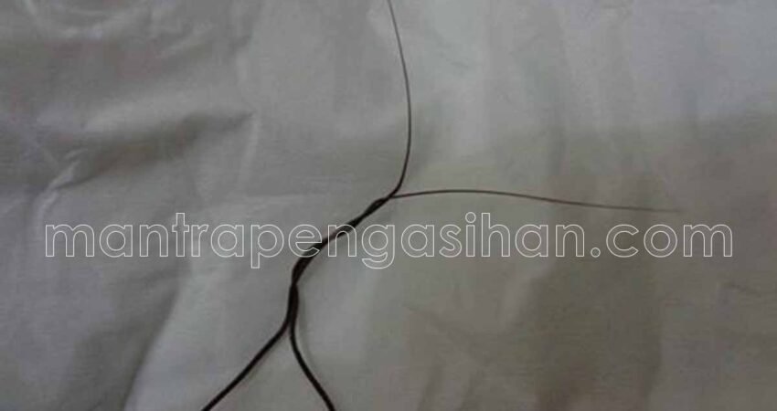 Cara Menggunakan Bulu Perindu