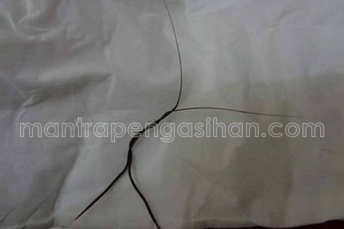 Cara Menggunakan Bulu Perindu